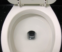 Phone-in-Toilet