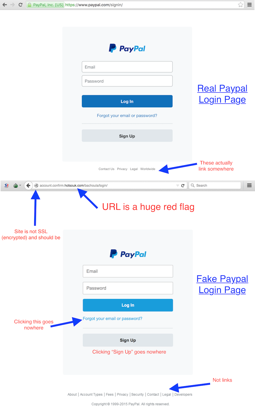 Fake Payal Login Page